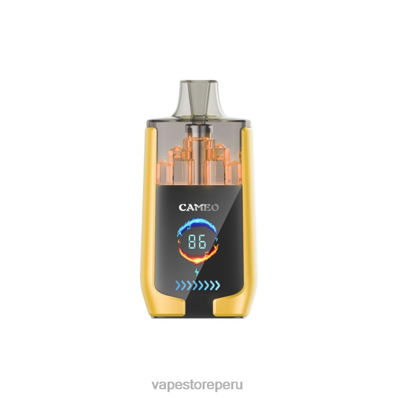 Vape Peru - LAVIE CAMEO 30000 bocanadas hielo de mango 6T64B21