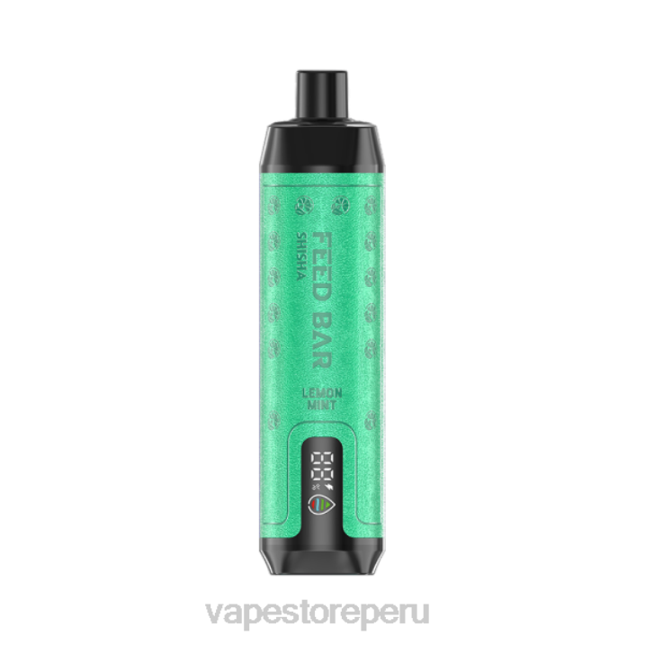 Vape Smoke - Vapsolo SHISHA vaporizador desechable menta limon 6842119