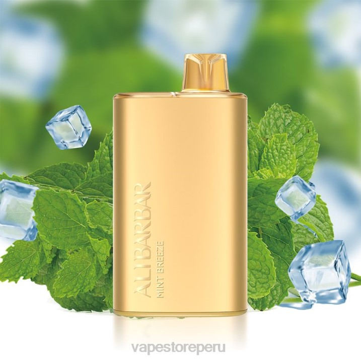 Vape Desechable - Alibarbar Rich 8000 vaporizadores desechables brisa de menta 68428